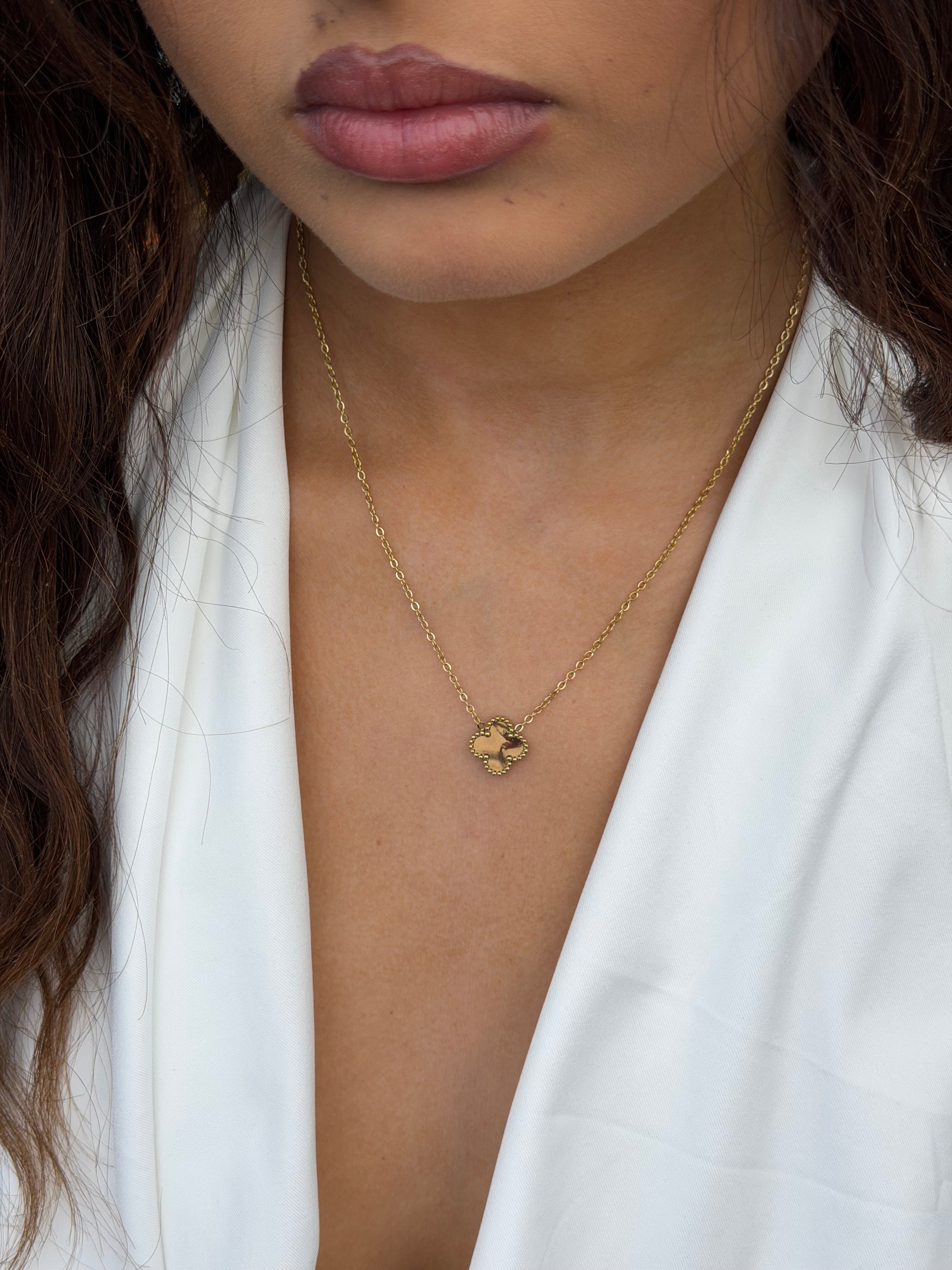 CLOVER NECKLACE BROWN
